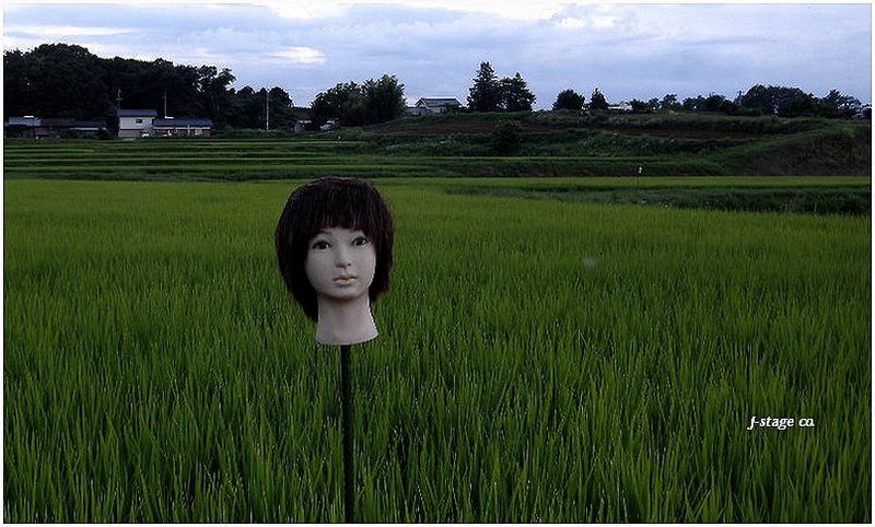 案山子首